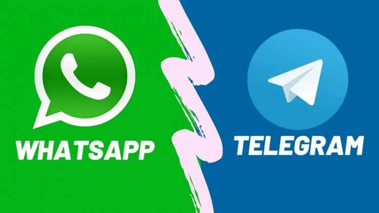 Контакты MD CARS: WhatsApp, Telegram, телефон